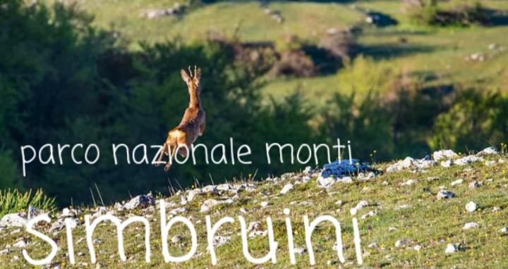 Casetta Nel Borgo Olevano Romano Ngoại thất bức ảnh