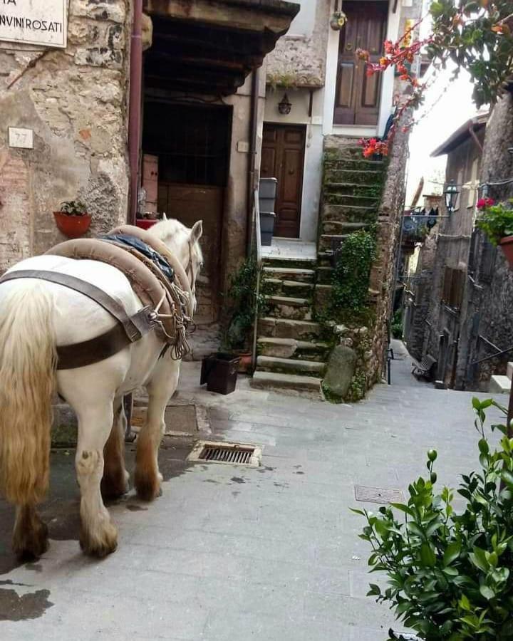 Casetta Nel Borgo Olevano Romano Ngoại thất bức ảnh