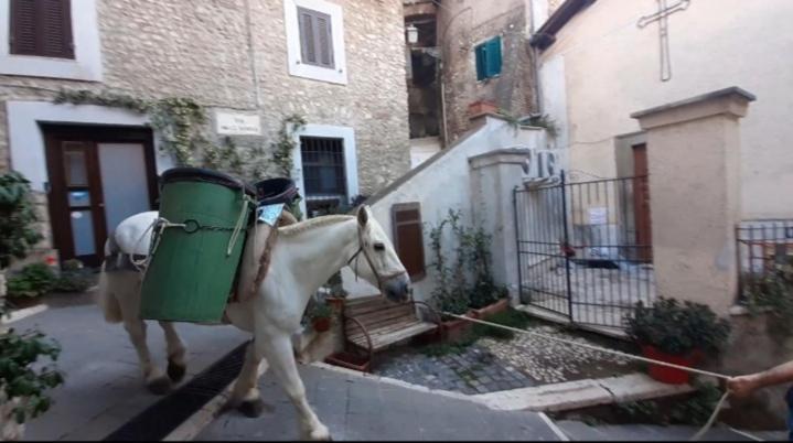 Casetta Nel Borgo Olevano Romano Ngoại thất bức ảnh